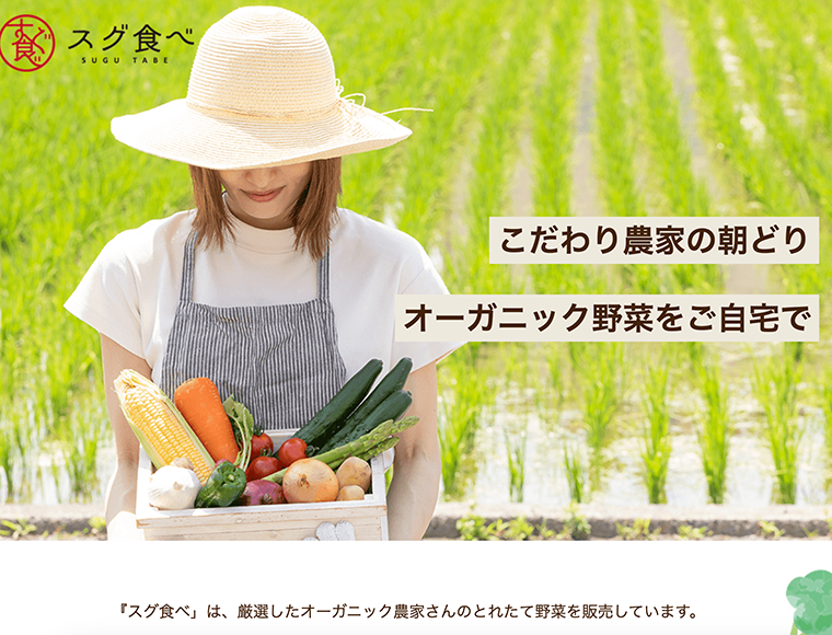 すぐ食べのサイト